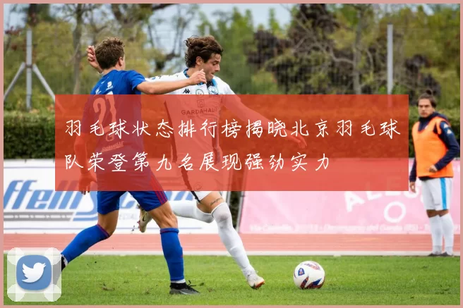 羽毛球状态排行榜揭晓北京羽毛球队荣登第九名展现强劲实力