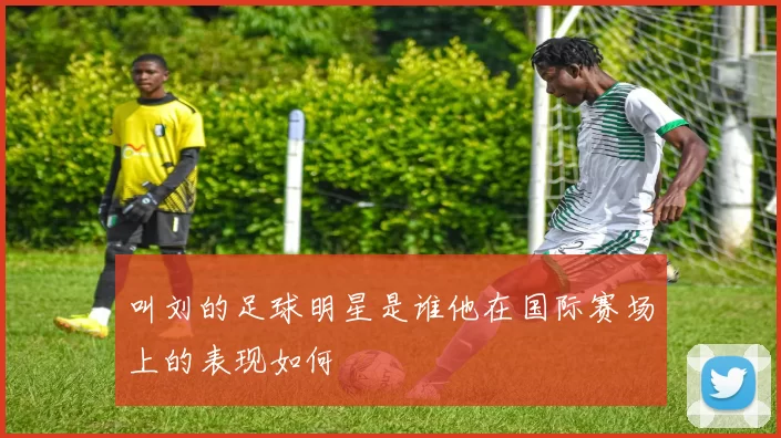 叫刘的足球明星是谁他在国际赛场上的表现如何