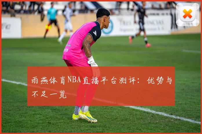 雨燕体育NBA直播平台测评：优势与不足一览