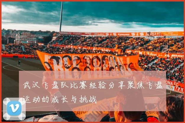 武汉飞盘队比赛经验分享聚焦飞盘运动的成长与挑战