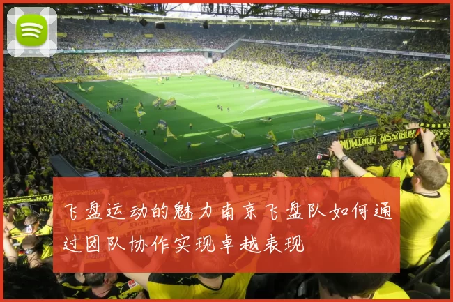 飞盘运动的魅力南京飞盘队如何通过团队协作实现卓越表现
