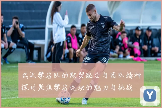 武汉攀岩队的默契配合与团队精神探讨聚焦攀岩运动的魅力与挑战