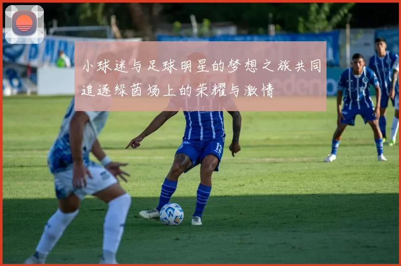 小球迷与足球明星的梦想之旅共同追逐绿茵场上的荣耀与激情