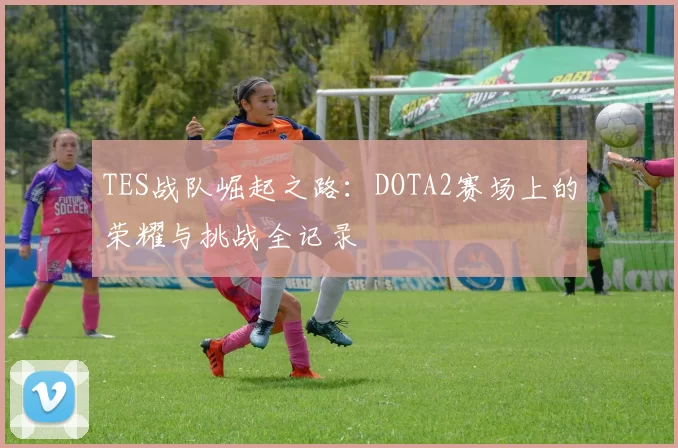 TES战队崛起之路：DOTA2赛场上的荣耀与挑战全记录