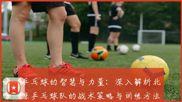 乒乓球的智慧与力量：深入解析北京乒乓球队的战术策略与训练方法