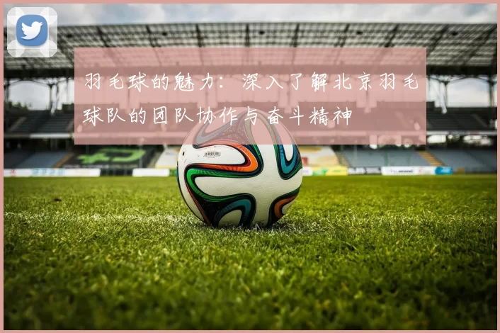羽毛球的魅力：深入了解北京羽毛球队的团队协作与奋斗精神