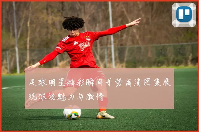 足球明星精彩瞬间手势高清图集展现球场魅力与激情