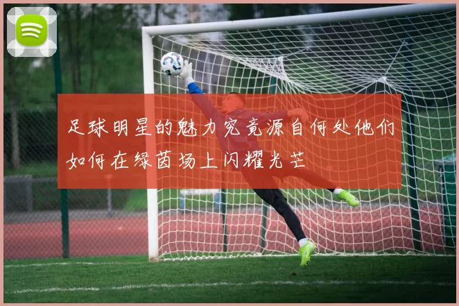 足球明星的魅力究竟源自何处他们如何在绿茵场上闪耀光芒