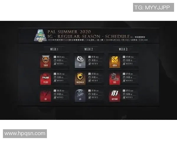 WE战队在CSGO中的崛起与实力分析探讨